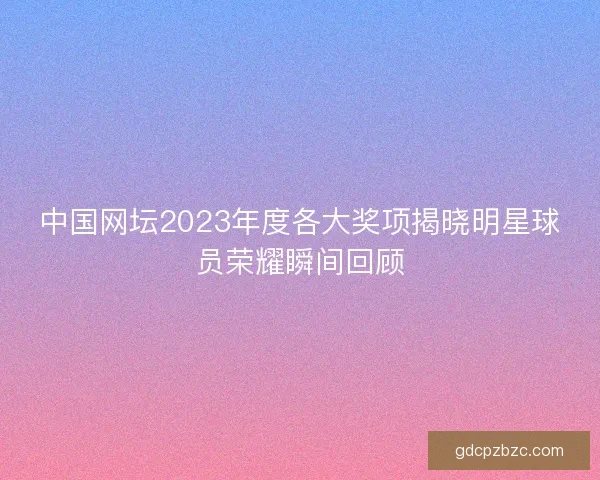 中国网坛2023年度各大奖项揭晓明星球员荣耀瞬间回顾