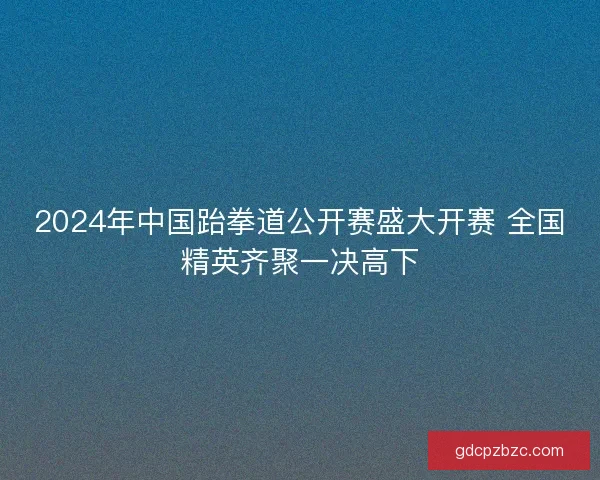 2024年中国跆拳道公开赛盛大开赛 全国精英齐聚一决高下