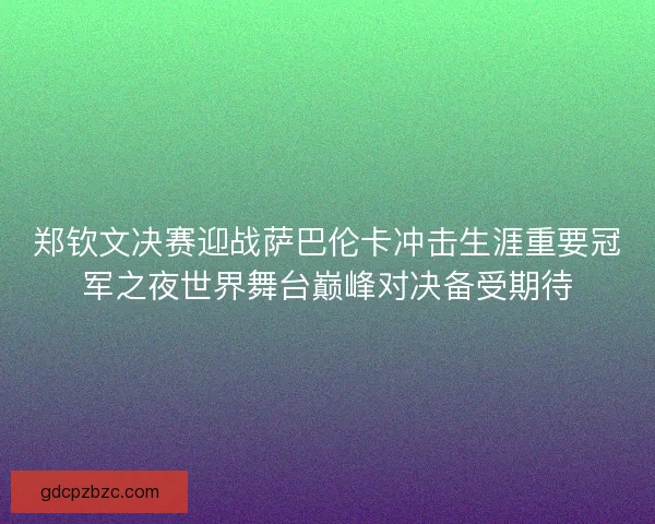郑钦文决赛迎战萨巴伦卡冲击生涯重要冠军之夜世界舞台巅峰对决备受期待