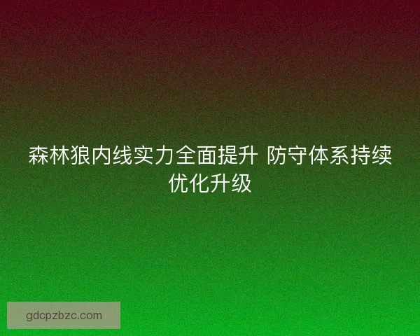 森林狼内线实力全面提升 防守体系持续优化升级