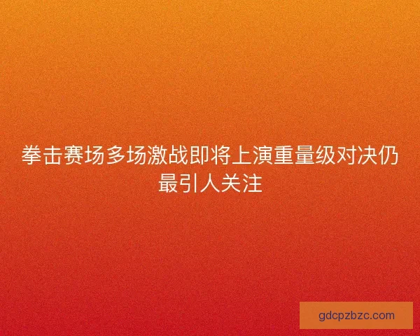 拳击赛场多场激战即将上演重量级对决仍最引人关注 拳击赛场多场激战即将上演重量级对决仍最引人关注