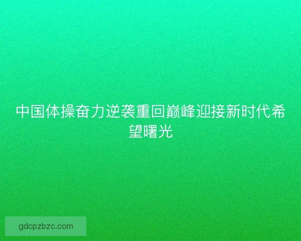 中国体操奋力逆袭重回巅峰迎接新时代希望曙光