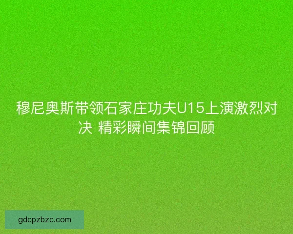 穆尼奥斯带领石家庄功夫U15上演激烈对决 精彩瞬间集锦回顾