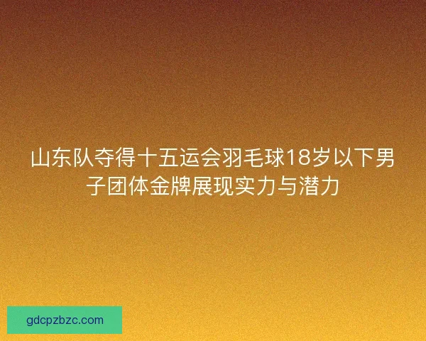 山东队夺得十五运会羽毛球18岁以下男子团体金牌展现实力与潜力