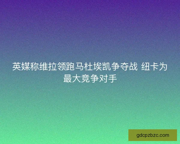 英媒称维拉领跑马杜埃凯争夺战 纽卡为最大竞争对手 英媒称维拉领跑马杜埃凯争夺战 纽卡为最大竞争对手